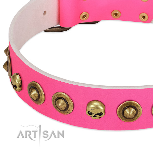Impressive decorations on genuine leather collar for your canine