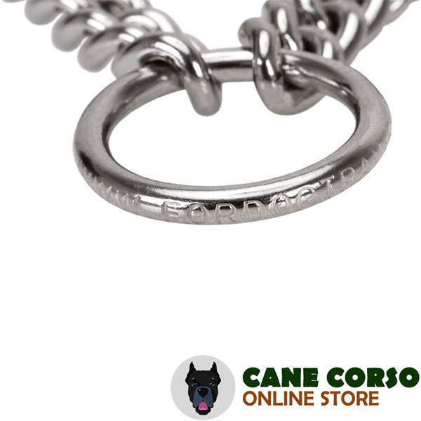 Rust resistant dog prong collar of stainless steel for large dogs
