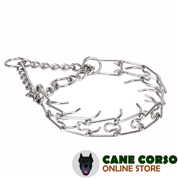 Stainless steel prong collar for poorly behaved pets
