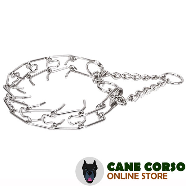 Durable stainless steel dog prong collar for large breeds