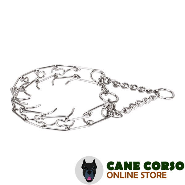 Dependable stainless steel O-ring for attaching a leash on prong collar