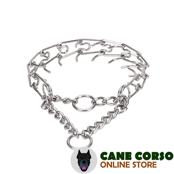 Corrosion resistant stainless steel pinch collar for ill behaved pets