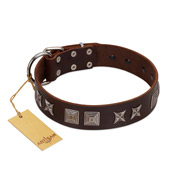 "Needle Stories" Modern FDT Artisan Brown Leather Cane Corso Collar with Square Engraved Plates and Four-Point Stars