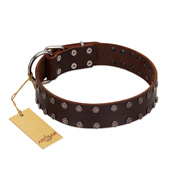 "Star Party" Handmade FDT Artisan Brown Leather Cane Corso Collar with Silver-Like Studs