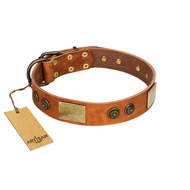 "Bronze Century" FDT Artisan Tan Leather Cane Corso Collar with Plates and Brooches with Cool Ornament