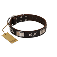 "Satin Beauts" FDT Artisan Brown Leather Cane Corso Collar with Stars and Plates
