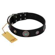 "Blue Gems" FDT Artisan Black Leather Cane Corso Collar with Chrome Plated Studs and Conchos