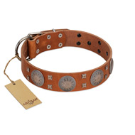 "Sun Rise Noon" FDT Artisan Tan Leather Cane Corso Collar with Unique Design