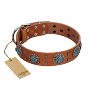 "Blue Sands" FDT Artisan Tan Leather Cane Corso Collar with Silver-like Studs and Round Conchos with Stones