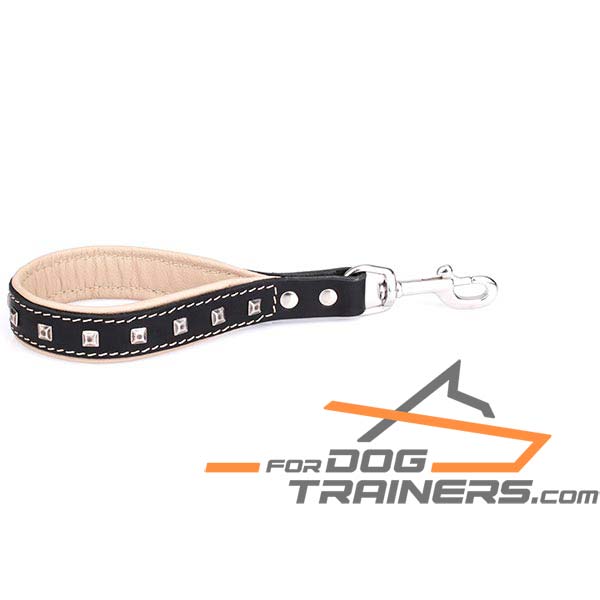 Leather dog lead decorated