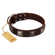 "Nut-Brown Finery" Embellished FDT Artisan Brown Leather Cane Corso Collar with Chrome Plated Crossbones and Plates