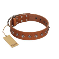 "Broadway" Handmade FDT Artisan Tan Leather Cane Corso Collar with Dotted Pyramids