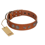 "Splendid Armor" Premium Quality FDT Artisan Tan Designer Cane Corso Collar with Shields and Stars