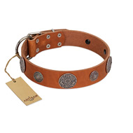 "Foxy Nature" FDT Artisan Tan Leather Cane Corso Collar with Chrome Plated Brooches