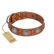 "Far Star" FDT Artisan Tan Leather Cane Corso Collar with Engraved Studs
