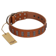 "Silver Century" Fashionable FDT Artisan Tan Leather Cane Corso Collar with Silver-Like Plates