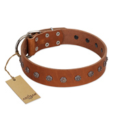 "Daintiness" Designer Handmade FDT Artisan Tan Leather Cane Corso Collar with Silver-Like Adornments