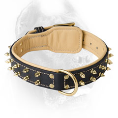 Unique Spiked Leather Dog Collar for Cane Corsos