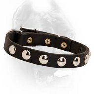 Delicate Leather Dog Collar with Half Ball Nickel-Plated Studs
