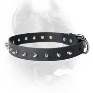 Leather Spiked Dog Collar for CANE CORSO
