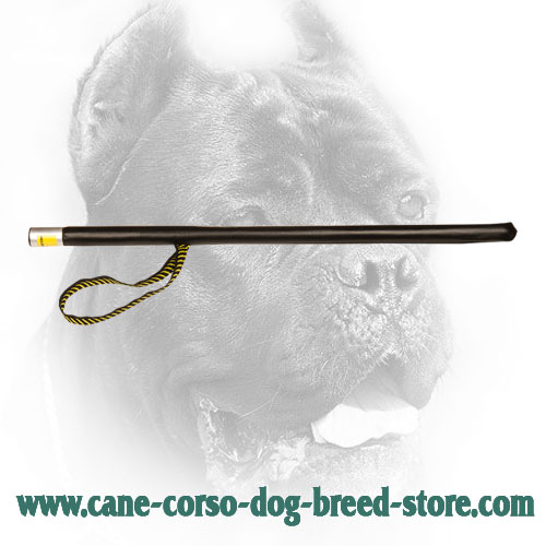 Flexible Cane Corso Stick for Training