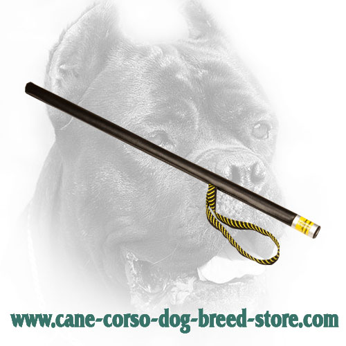 Lightweight Cane Corso Agitation Stick with Nylon Loop