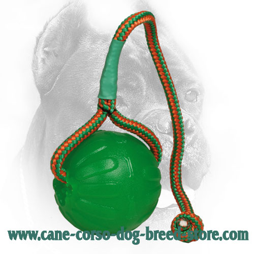 Lightweight Foam Cane Corso Ball for Chewing