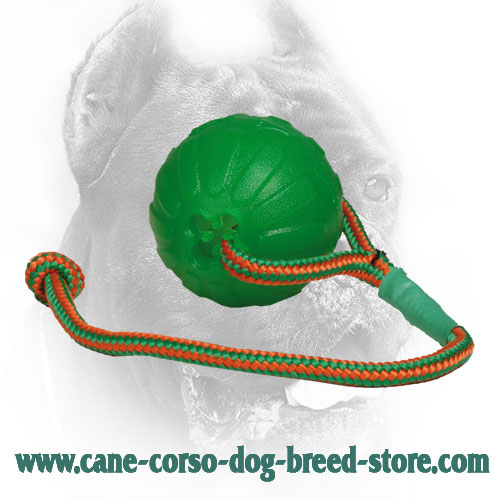 Water Floating Lightweight Cane Corso Ball