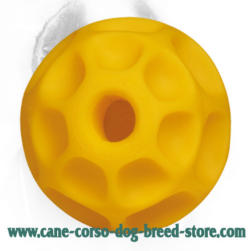 Tetraflex Cane Corso Ball Ideal for Playing