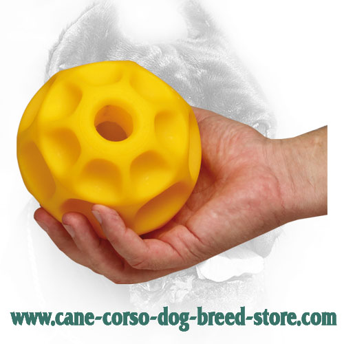 Tetraflex Cane Corso Ball for Treat Dispencing