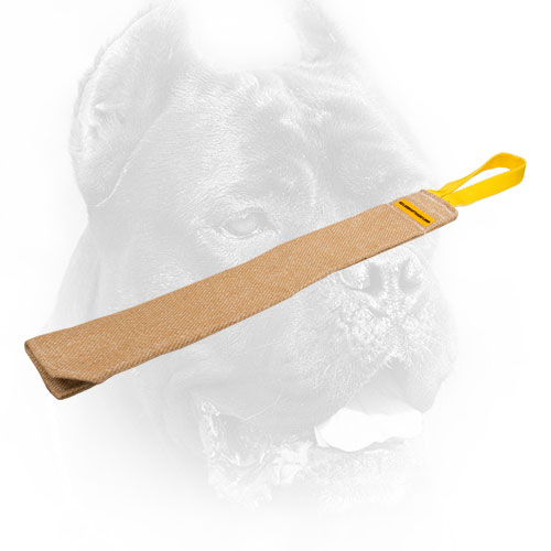 Jute Cane Corso Bite Rag with Strong Handle
