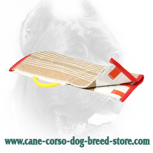 Jute Cane Corso Bite Sleeve Cover for Better Training