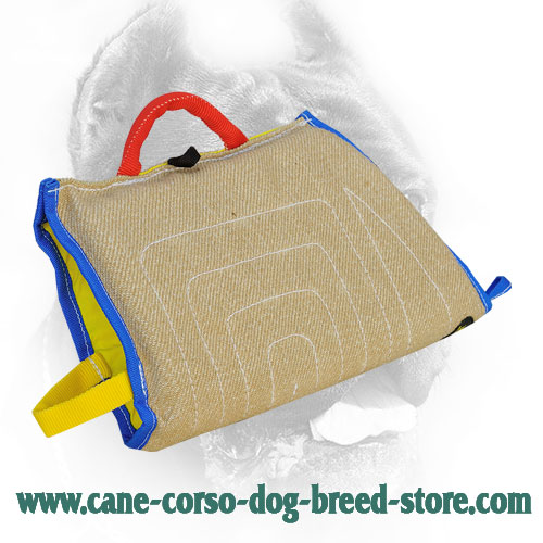 Extra Durable Cane Corso Bite Sleeve with Comfortable Handles