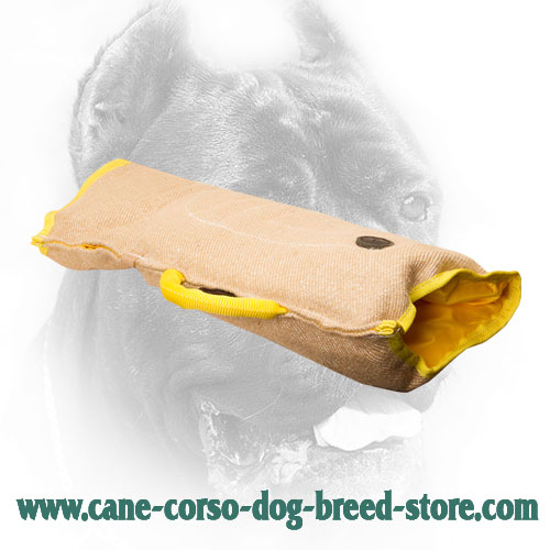 Cane Corso Bite Sleeve for Puppies