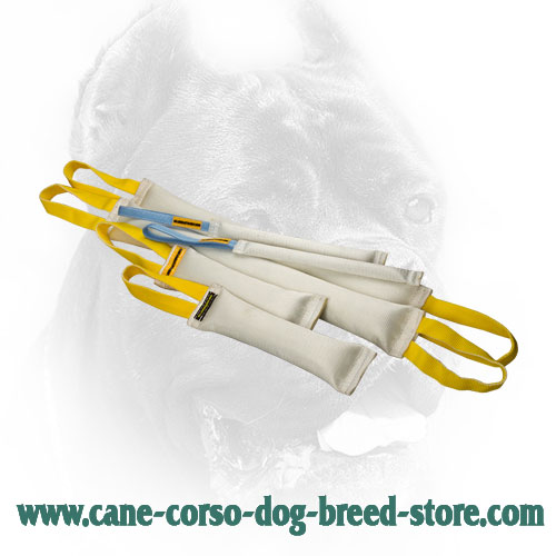 Fire Hose Cane Corso Bite Training Set for Retrieve Item Training