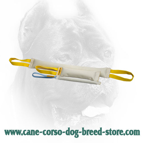 Extra Strong Fire Hose Cane Corso Bite Training Set