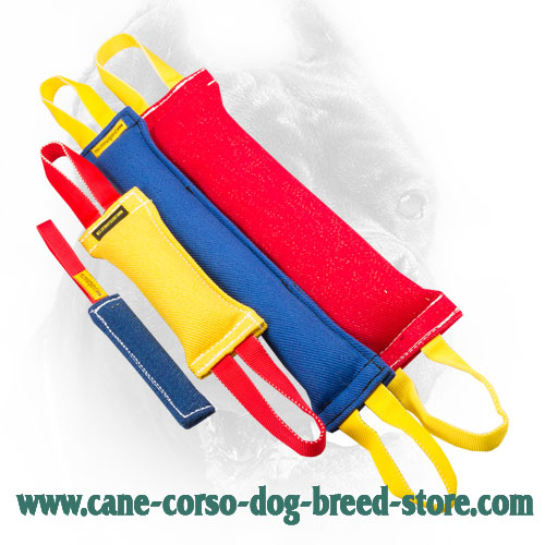 French Linen Cane Corso Bite Training Set of 4 Items