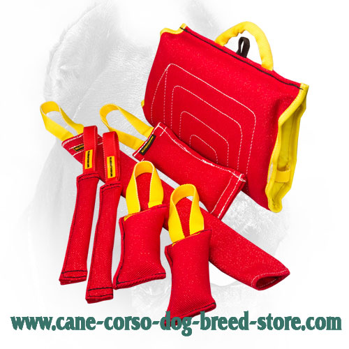 French Linen Cane Corso Bite Training Set for Puppies