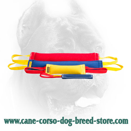 French Linen Cane Corso Bite Training Set