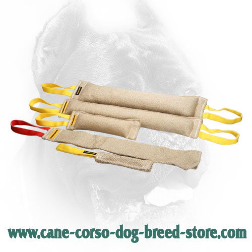 Jute Cane Corso Bite Training Set of 5 Dog Supplies