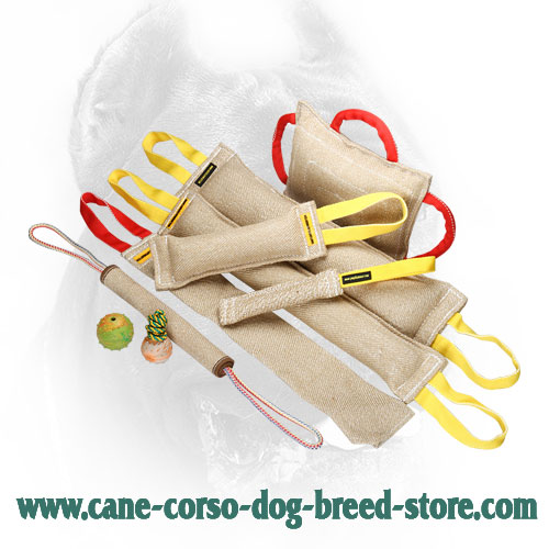 Jute Cane Corso Bite Training Set for Effective Training