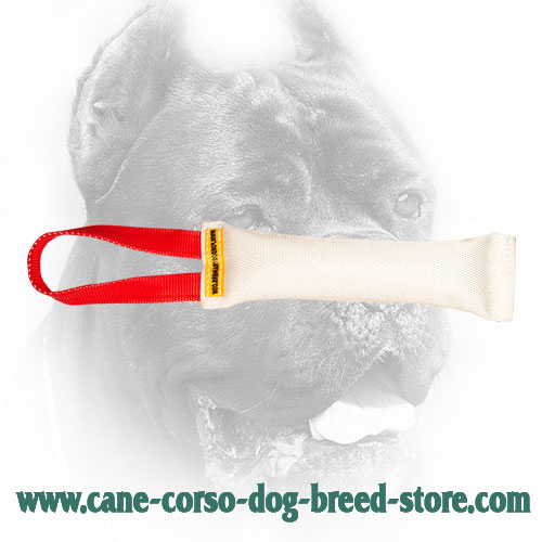 Reliably Stitched Cane Corso Bite Tug