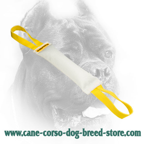 Fire Hose Cane Corso Bite Tug for Puppies