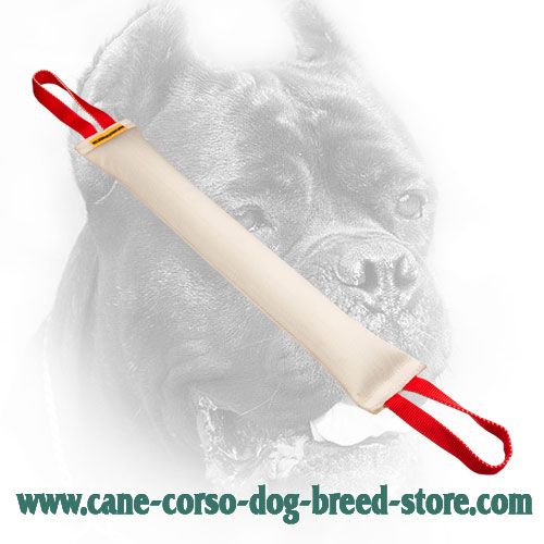 Fire Hose Cane Corso Bite Tug