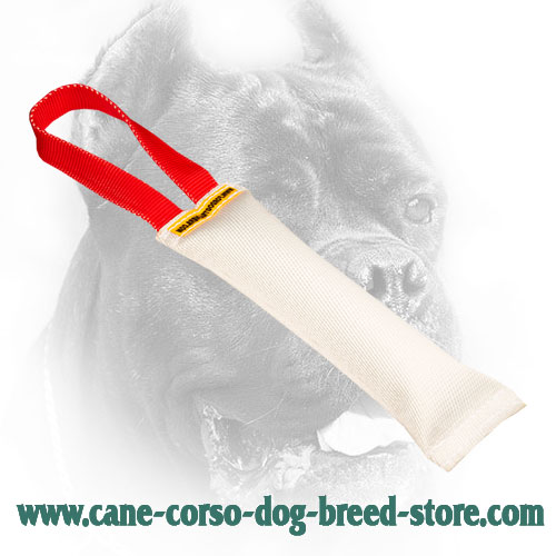 Fire Hose Cane Corso Bite Tug