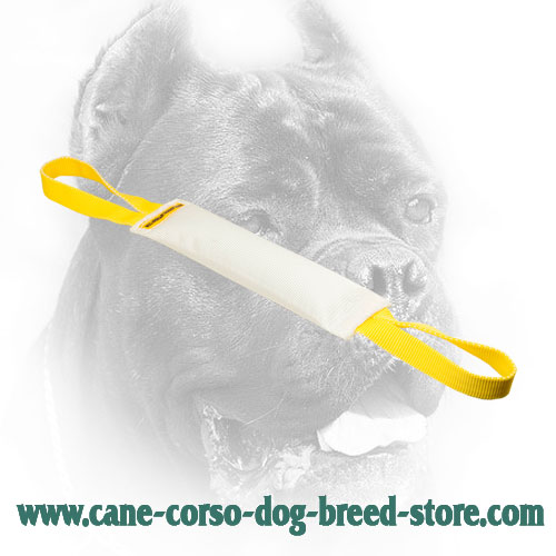 Fire Hose Cane Corso Bite Tug with Nylon Handles