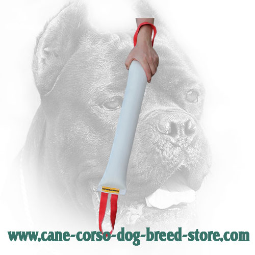 Comfortable in Use Fire Hose Cane Corso Bite Tug