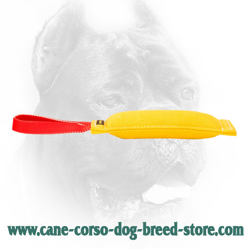 French Linen Cane Corso Bite Tug for Retrieving