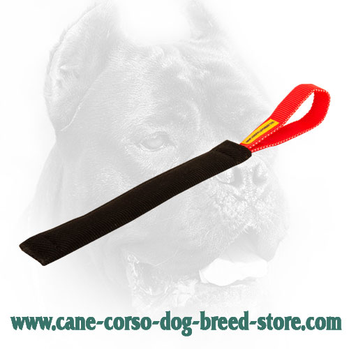 French Linen Cane Corso Bite Tug with Comfy Handle