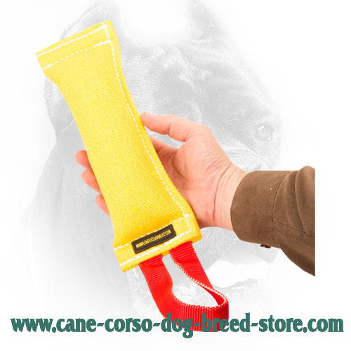 Tearproof Cane Corso Bite Tug with Reliable Handle